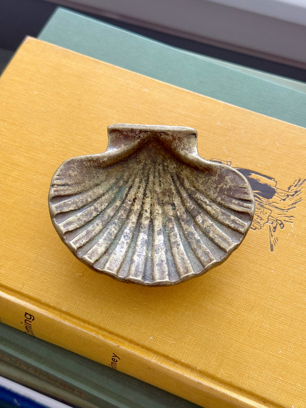 Heavy Brass Shell
